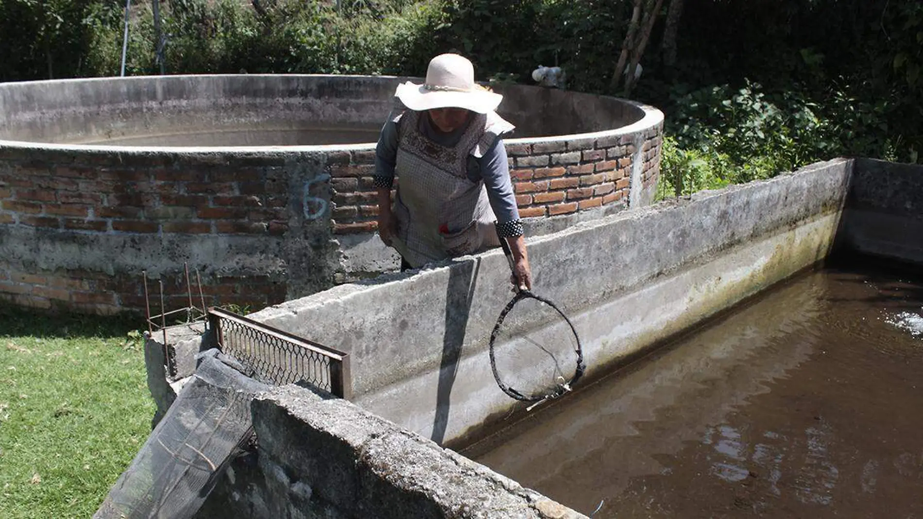 Más de seis toneladas de truchas muertas, perdidas millonarias y ocho criaderos afectados es el saldo preliminar que dejó la contaminación del río Matlacapa